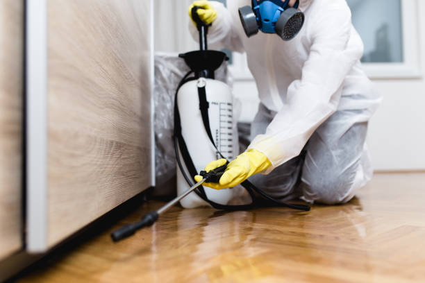 Best Emergency Pest Control  in Lake Ridge, VA