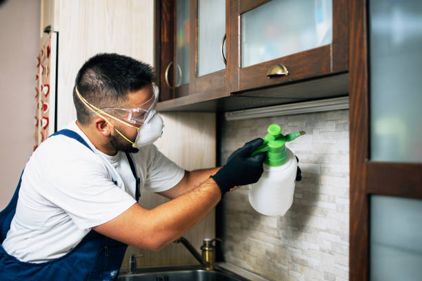 Best Wildlife Control Services  in Lake Ridge, VA