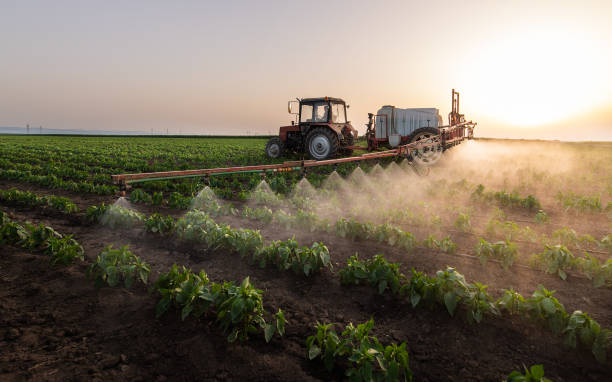 Best Mosquito Control Services  in Lake Ridge, VA