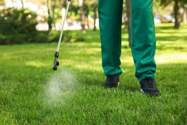 Best Local Pest Control Services  in Lake Ridge, VA