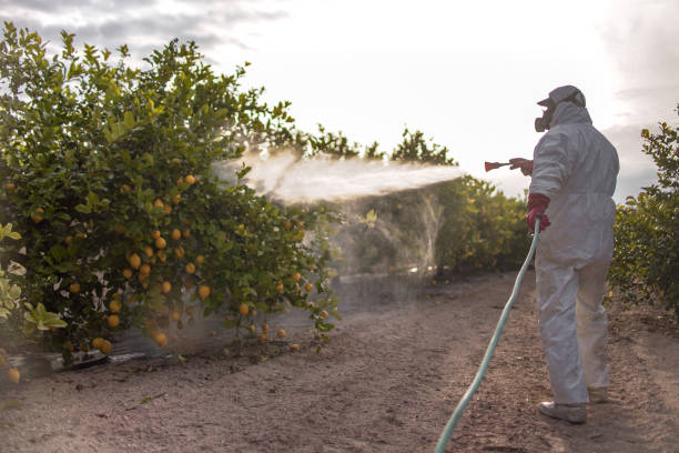 Best Pest Control Near Me in Lake Ridge, VA