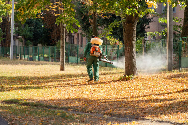 Best Pest Control for Businesses  in Lake Ridge, VA