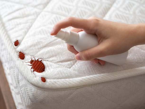 Best Exterminator Services  in Lake Ridge, VA