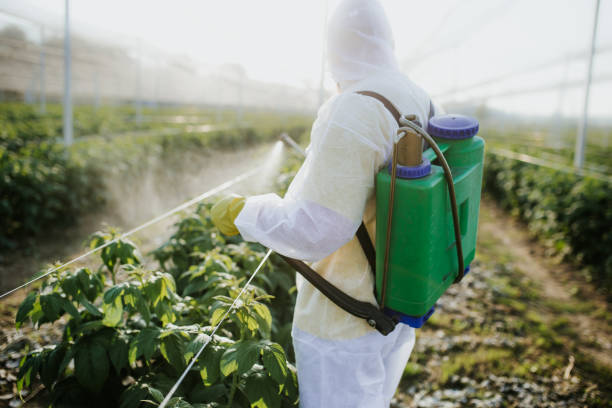 Lake Ridge, VA Pest Control Company